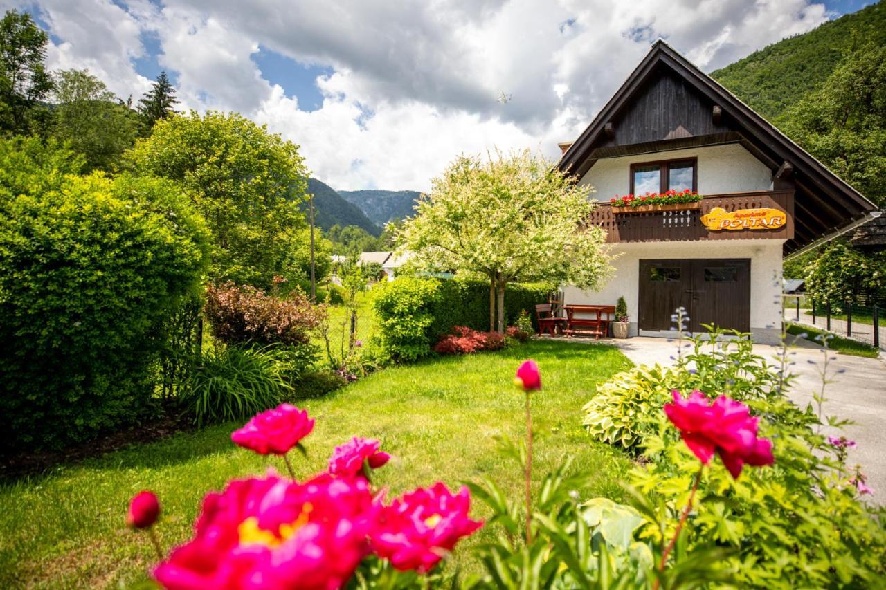 Apartma Boltar Bohinj Exterior photo